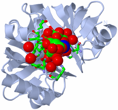 Image Biol. Unit 1 - sites