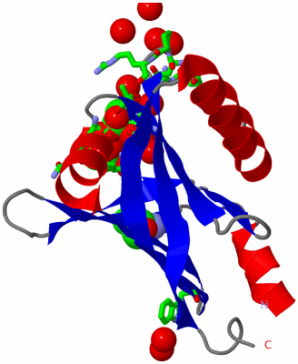 Image Asym. Unit - sites