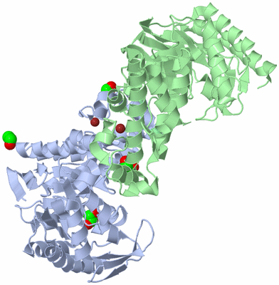 Image Biological Unit 1