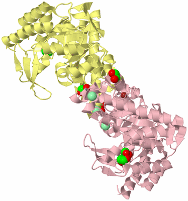 Image Biological Unit 2