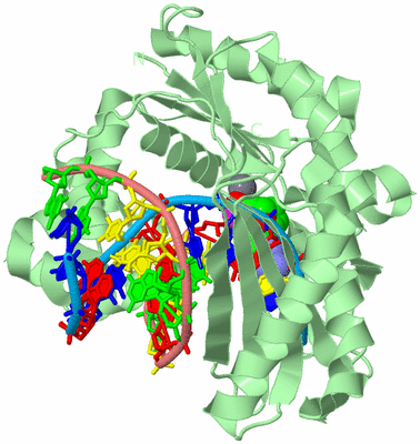 Image Biological Unit 2