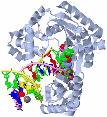 Image Biological Unit 1