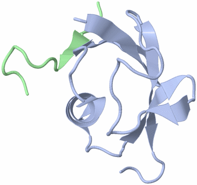 Image NMR Structure - model 1