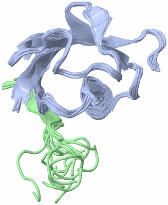 Image NMR Structure - all models