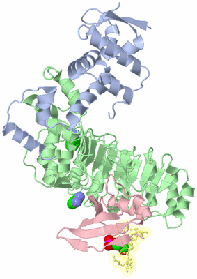 Image Biological Unit 1