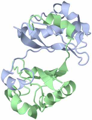 Image NMR Structure - model 1