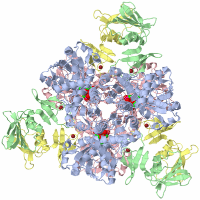 Image Biological Unit 1