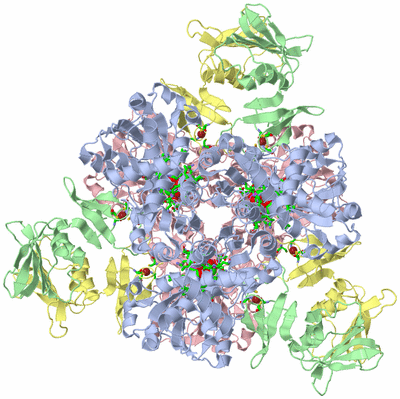 Image Biol. Unit 1 - sites