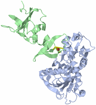 Image Asymmetric Unit