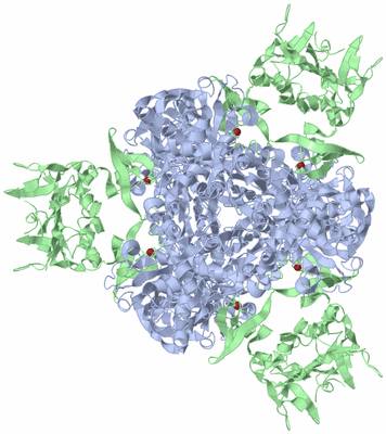 Image Biological Unit 1