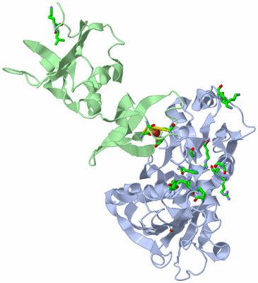 Image Asym. Unit - sites