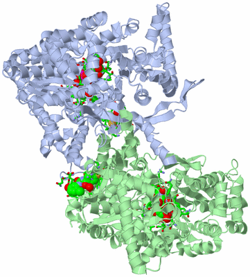 Image Asym./Biol. Unit - sites