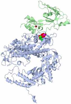 Image Asym./Biol. Unit