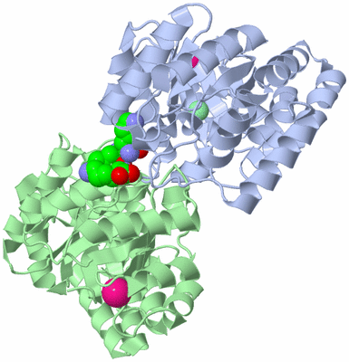 Image Asym./Biol. Unit