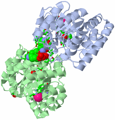 Image Asym./Biol. Unit - sites