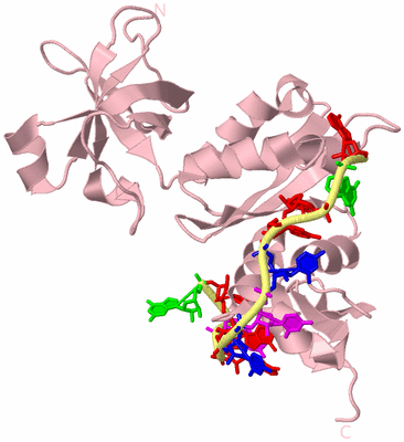 Image Biological Unit 2