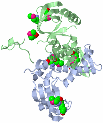 Image Asym./Biol. Unit