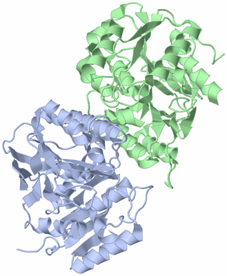 Image Asym./Biol. Unit