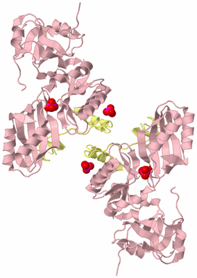 Image Biological Unit 1