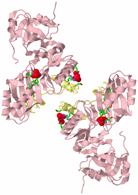 Image Biol. Unit 1 - sites