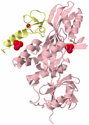 Image Biological Unit 3