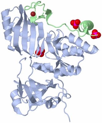 Image Biological Unit 4