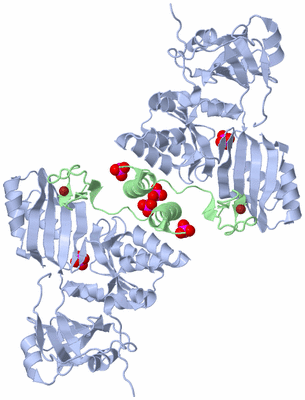 Image Biological Unit 5