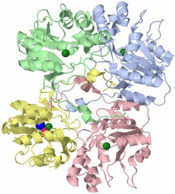 Image Asym./Biol. Unit