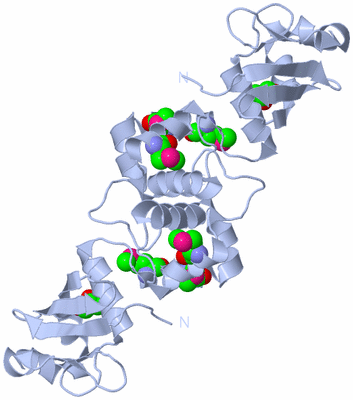 Image Biological Unit 2