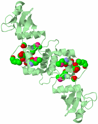 Image Biological Unit 3