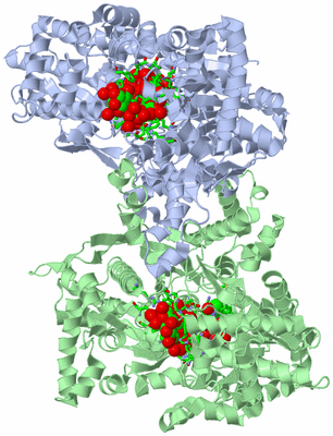 Image Asym./Biol. Unit - sites