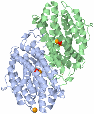 Image Asym./Biol. Unit