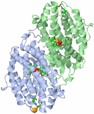 Image Asym./Biol. Unit - sites