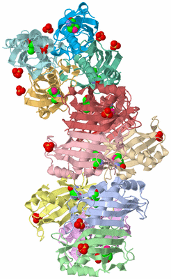Image Asymmetric Unit