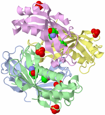 Image Biological Unit 1