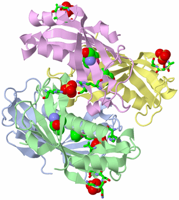 Image Biol. Unit 1 - sites