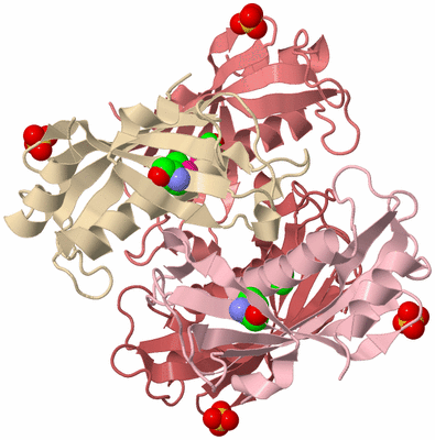Image Biological Unit 2