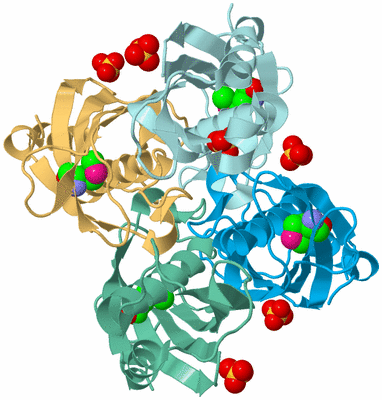 Image Biological Unit 3