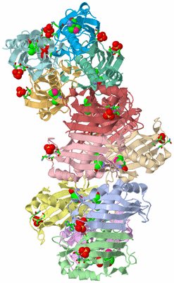 Image Asym. Unit - sites