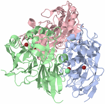 Image Biological Unit 1