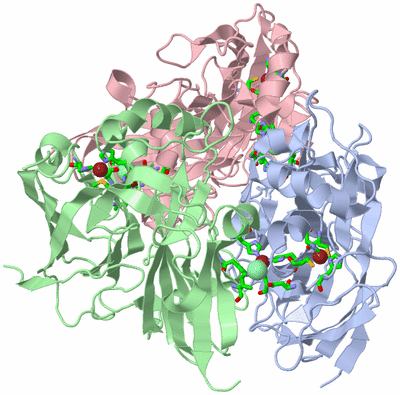 Image Biol. Unit 1 - sites