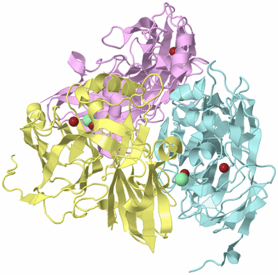 Image Biological Unit 2