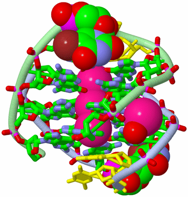 Image Biol. Unit 1 - sites