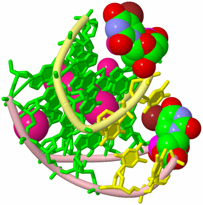 Image Biological Unit 2