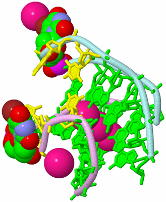 Image Biological Unit 3