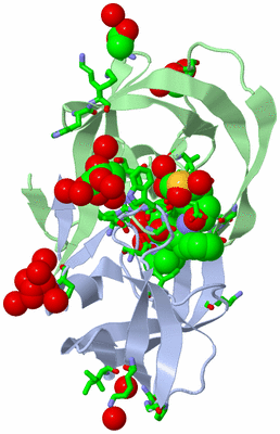 Image Asym./Biol. Unit - sites