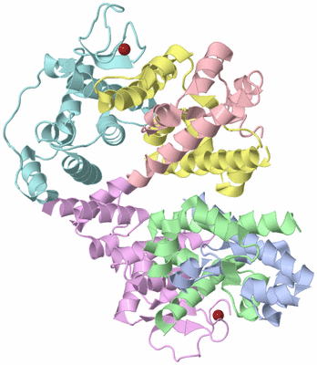 Image Asym./Biol. Unit