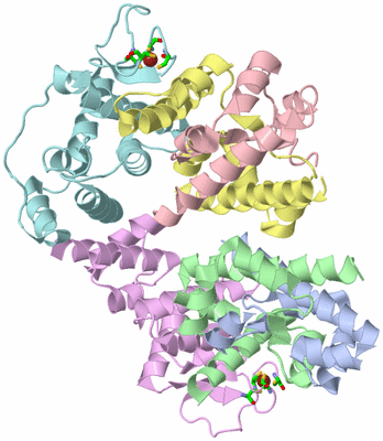 Image Asym./Biol. Unit - sites