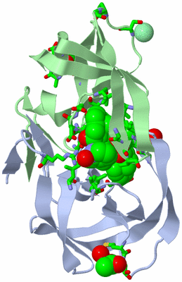 Image Biol. Unit 1 - sites