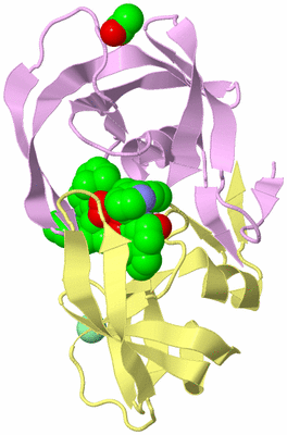 Image Biological Unit 2